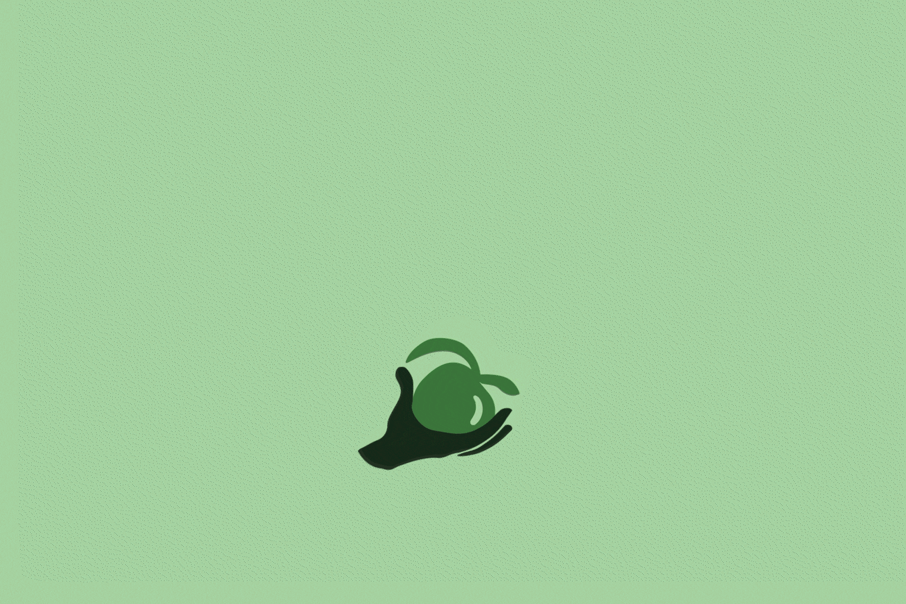 https://www.ave-studio.fr/wp-content/uploads/2024/06/Animation-logo-trad-2.gif