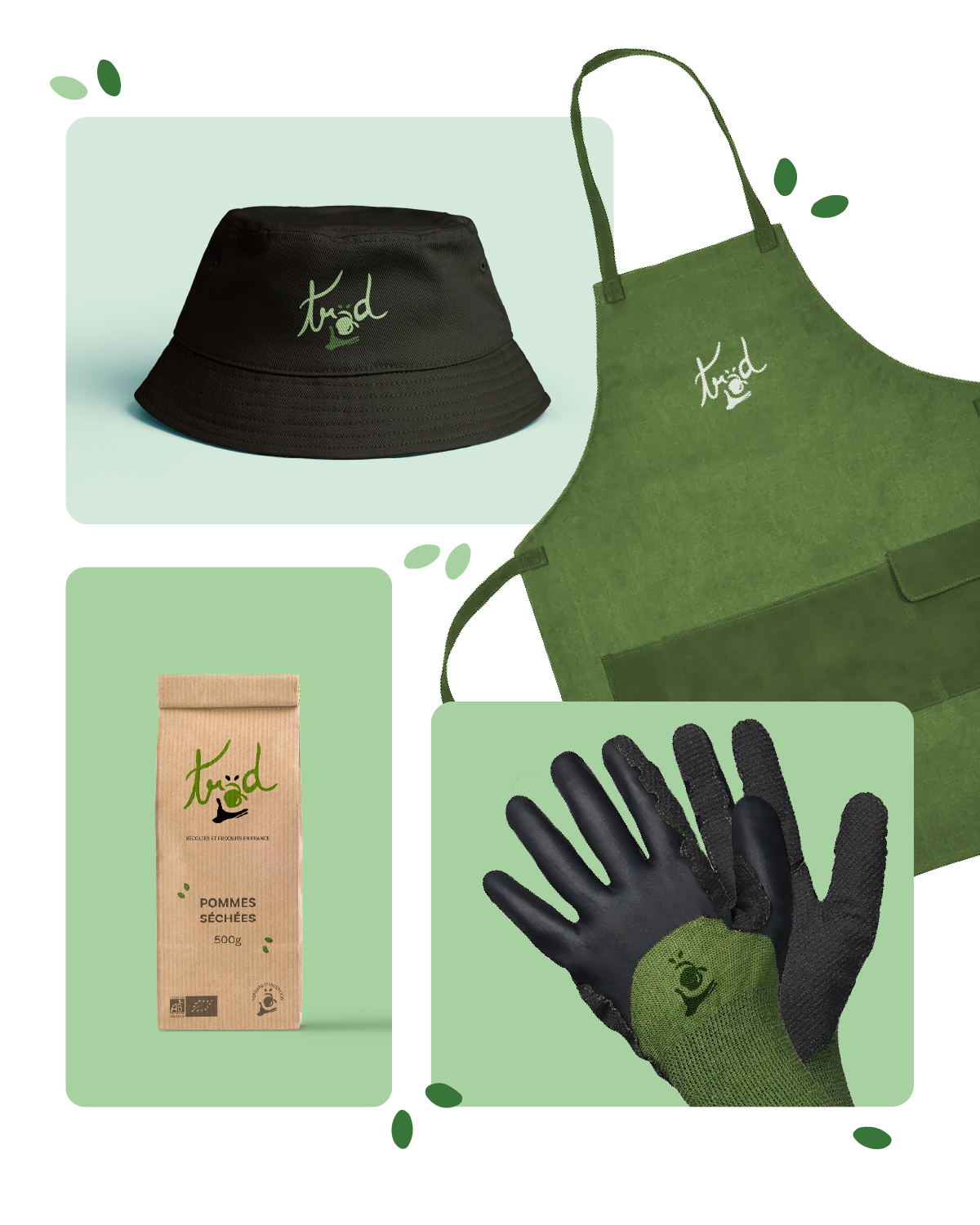 https://www.ave-studio.fr/wp-content/uploads/2024/06/trad-insta-ave-studio-07.png