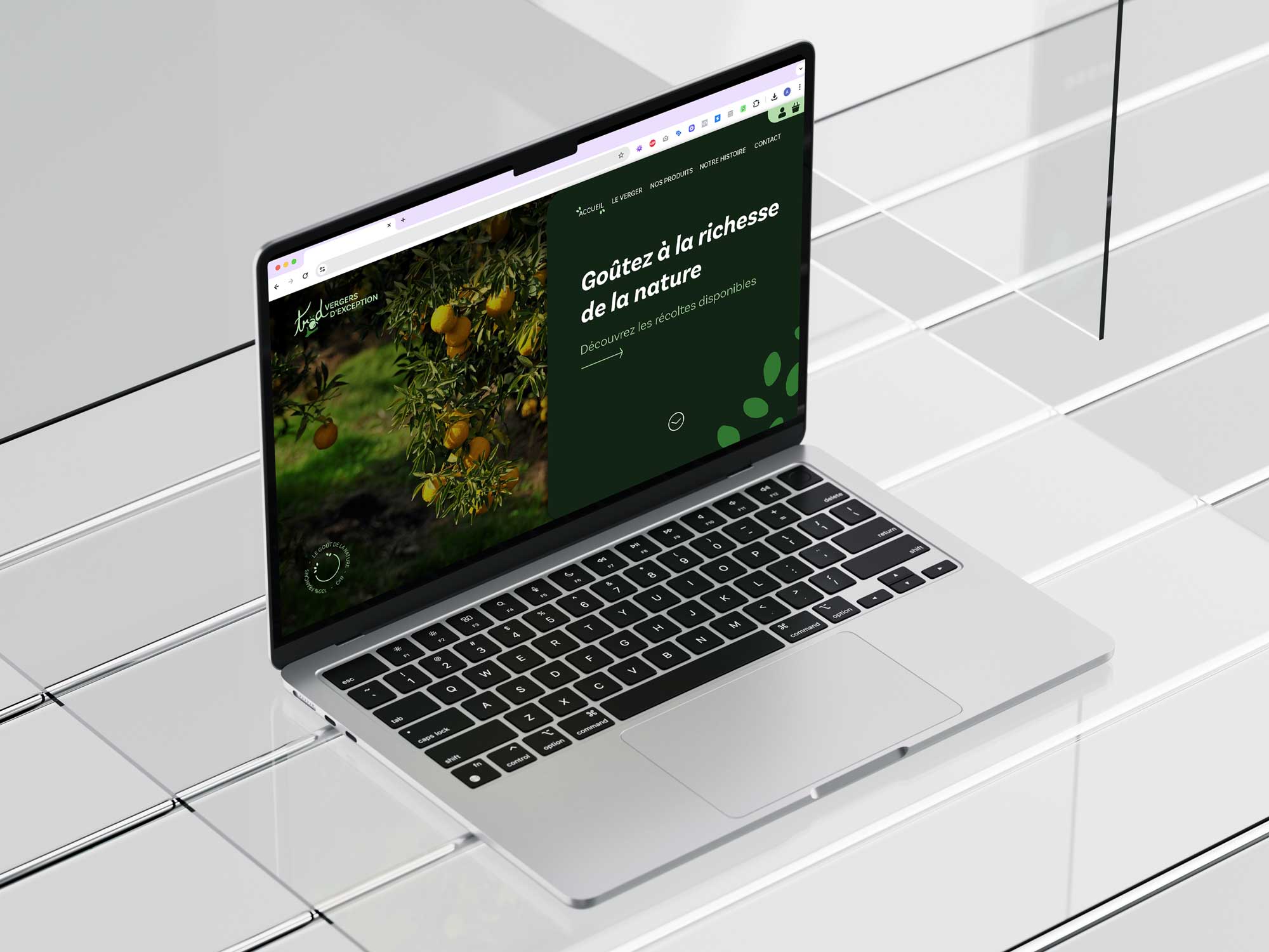 https://www.ave-studio.fr/wp-content/uploads/2025/05/mockup-trad-ui-design-ave-studio-03.jpg