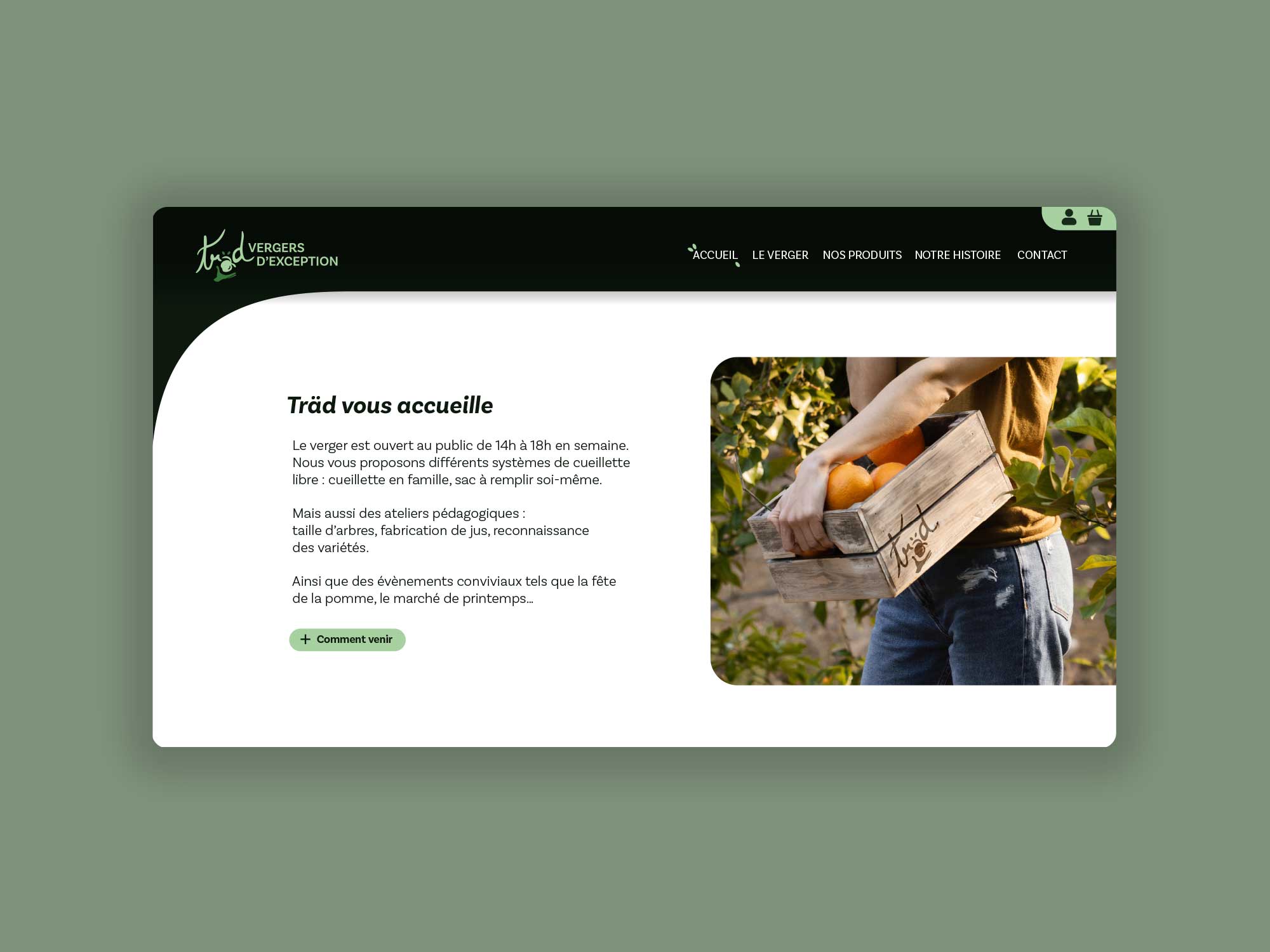 https://www.ave-studio.fr/wp-content/uploads/2025/05/mockup-trad-ui-design-ave-studio-04.jpg